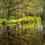 Hotell Kasteel De Essenburgh 3*