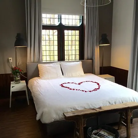 Kasteel De Essenburgh 3* Hierden